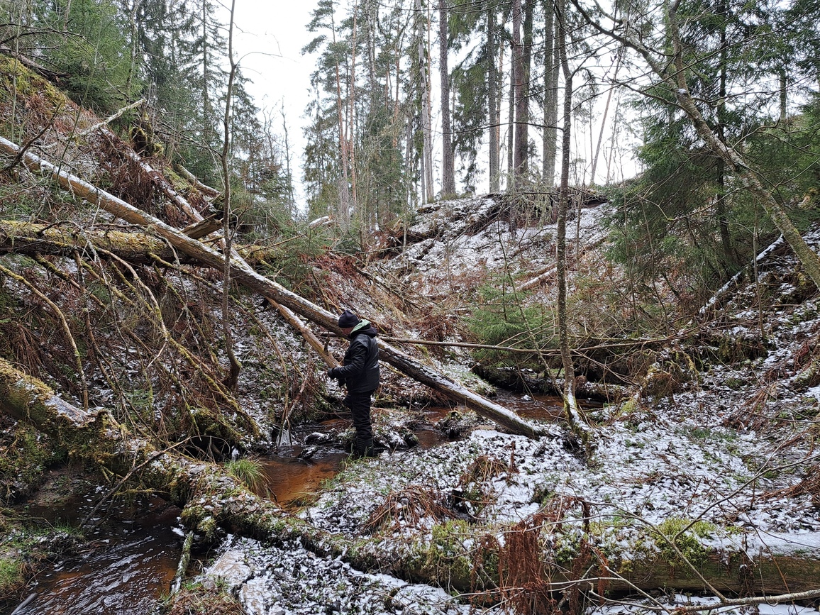 matkaamet kanjoneering eesti moodi 1 matkaamet kanjoneering eesti moodi 1