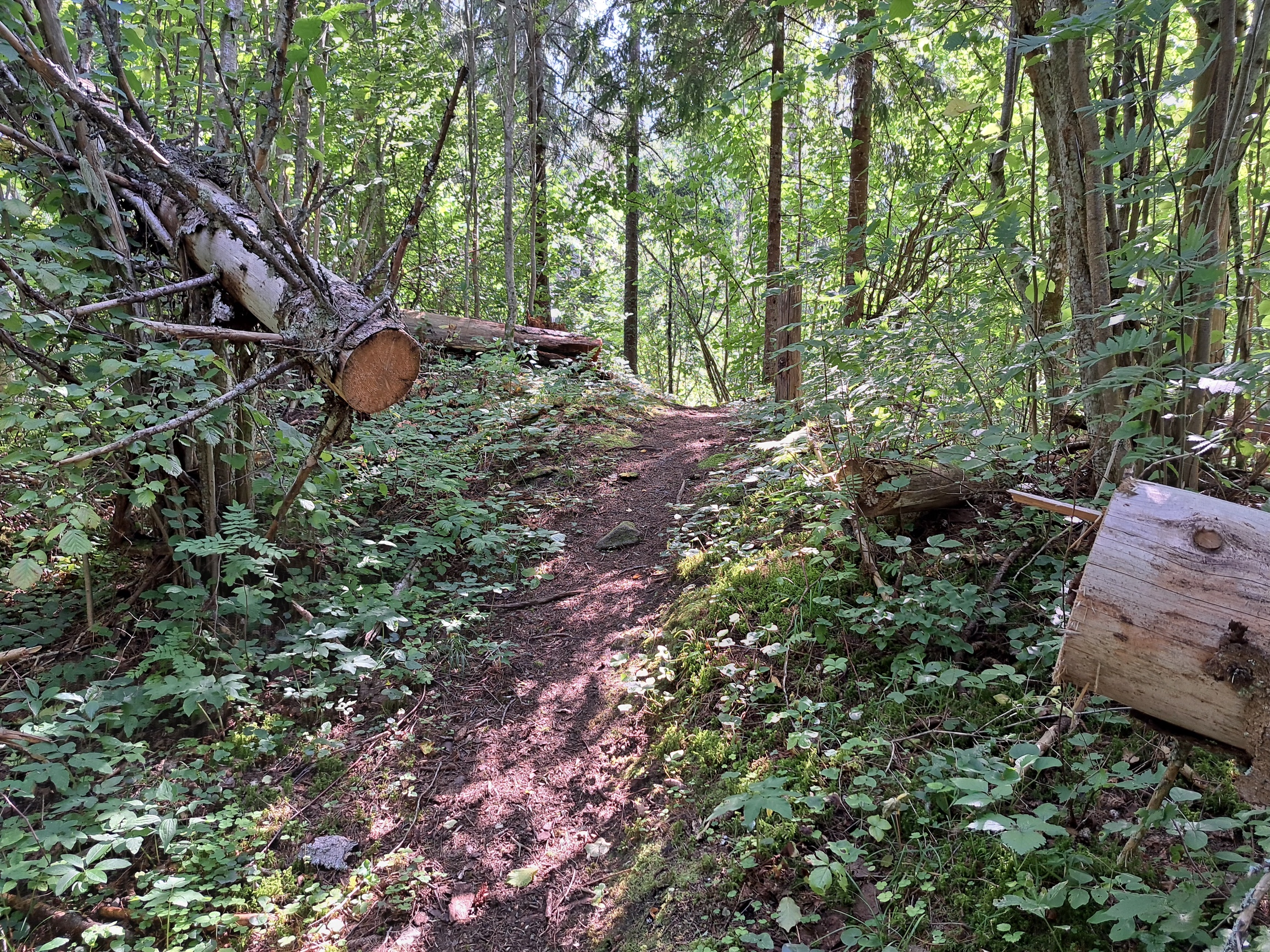 Neeruti järvede ja linnamägede vahel matkaamet neeruti